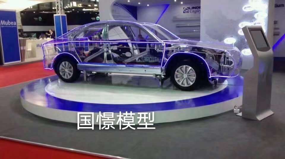 灌云县透明车模型